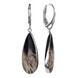 Petrified Palm Wood Silver Earrings