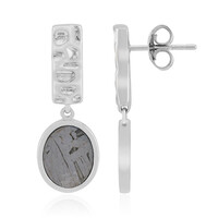 Aletai-Meteorite Silver Earrings
