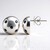 Boucles d'oreilles en argent et Saphir bleu (Pallanova)