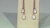 Pendientes en plata con Piedra de luna azul