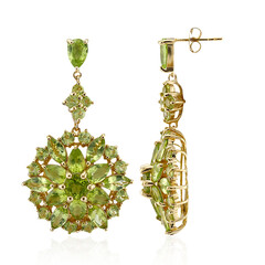 Burmesischer Peridot-Silberohrringe