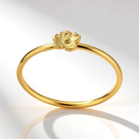 Anello in argento (Joias do Paraíso)