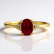 AAA-Mosambik-Rubin-Goldring (CIRARI)