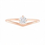 IF (G) Brillant-Goldring (de Melo)