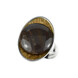 Anello in argento con Legno Fossile (dagen)