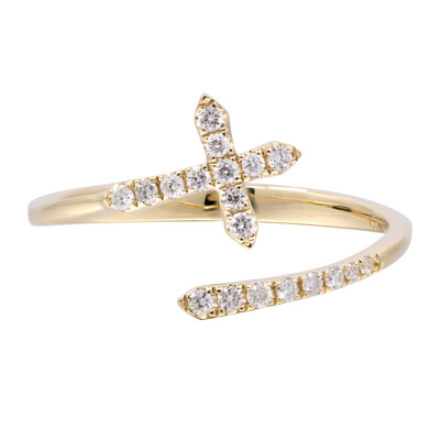 SI2 (H) Brillant-Goldring (CIRARI)