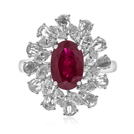 AAA-Mosambik-Rubin-Goldring (CIRARI)