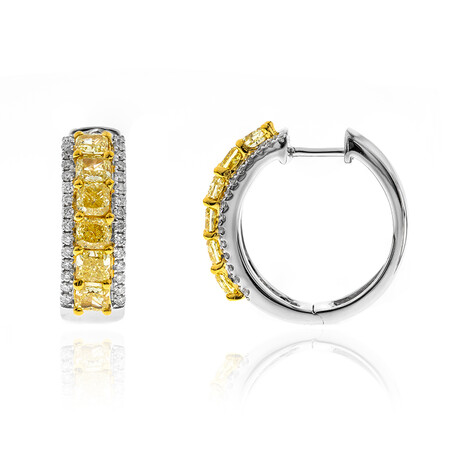 Gelber SI Diamant-Goldohrringe (CIRARI)