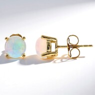 AAA-Welo-Opal-Goldohrringe