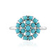 Anello in argento con Turchese Sleeping Beauty