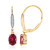 9K Rubellite Gold Earrings (Tenner Diniz)