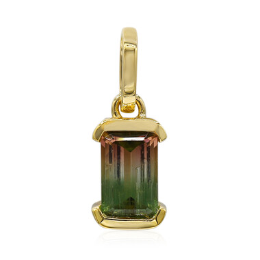 Colgante en oro con Turmalina multicolor