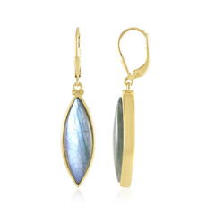 Boucles d'oreilles en argent et Labradorite (Adela Silber)