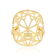 Silberring