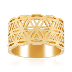 Silberring