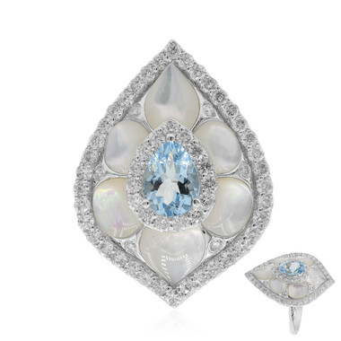 Edelstein-Goldring (CIRARI)