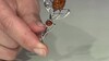 Zilveren broche met een cognac Baltische barnsteen (dagen)