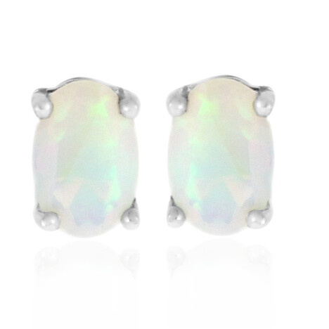 Welo-Opal-Silberohrringe