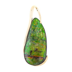 Ammolith-Goldanhänger (de Melo)