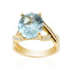 Gouden ring met een AAA Braziliaanse Aquamarijn (de Melo)