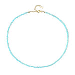 Zilveren halsketting met amazonieten