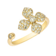 I1 Fancy-Brillant-Goldring (CIRARI)