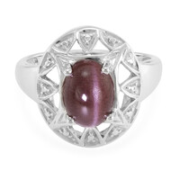 Zilveren ring met een kattenoog-scapoliet