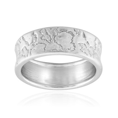 Silberring (MONOSONO COLLECTION)