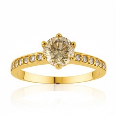 VS1 Argyle-Rose de France-Brillant-Goldring (Annette)