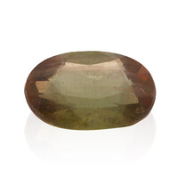  Andalousite (gemme et boîte de collection)