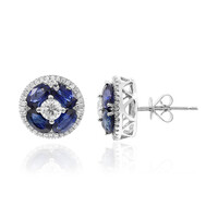 14K Ceylon Blue Sapphire Gold Earrings (CIRARI)