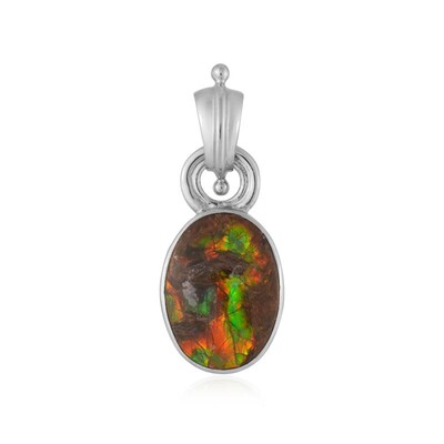 Ciondolo in argento con Ammolite
