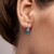 Braldu Fluorite Silver Earrings (Pallanova)