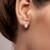 Mother of Pearl Silver Earrings (Desert Chic)