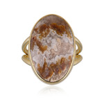 Zilveren ring met een Druzische Agaat (Bali Barong)