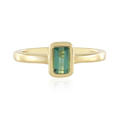 Benedito Green Tourmaline Silver Ring (Adela Silber)