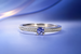 Arions Selection mit Arion Ahrens