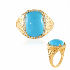 Turquoise Silver Ring (de Melo Essence)
