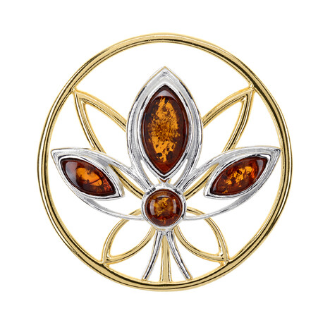 Zilveren hanger met een Baltische barnsteen (dagen)