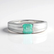 Paraiba Color Emerald Silver Ring