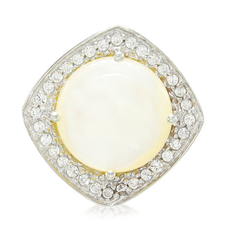 Zilveren hanger met een Abalone schelp