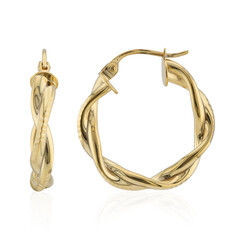 Pendientes en plata