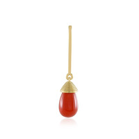 Zilveren hanger met een Rode onyx