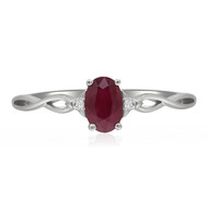 AAA-Mosambik-Rubin-Goldring (CIRARI)