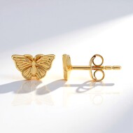 Orecchini in argento