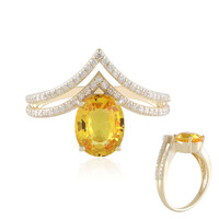 Oranger Ban Ka Cha-Saphir-Goldring (de Melo)