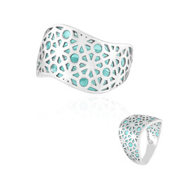Anillo en plata (Adela Silber)