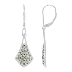 Fancy Diamond Silver Earrings