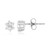 Zirkon-Silberohrringe