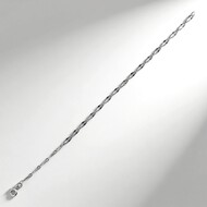 Silver Chain